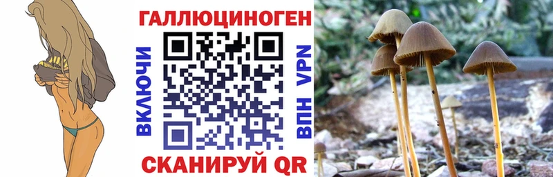 Галлюциногенные грибы прущие грибы  где можно купить   Бежецк 