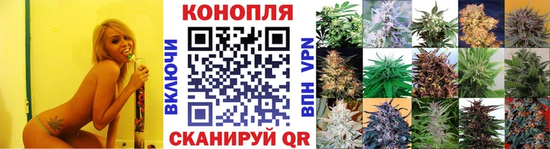 Каннабис Amnesia  магазин    Бежецк 